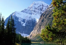 如何快速查询足彩竞彩的开奖结果？